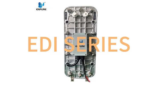 Industrial RO Reverse Osmosis Demineralized Water Treatment System Electrodeionization Electro-Deionization EDI for Industry/Pharmaceutical